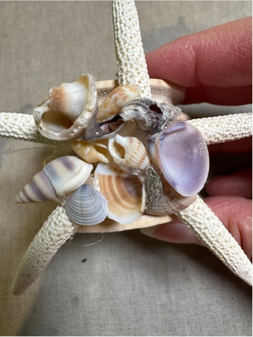 Unbranded Nautical Beach Seashell Starfish Napkin Rings Set of 3